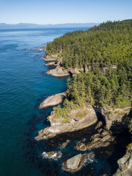 230+ Capo Flattery Foto stock, immagini e fotografie royaltyfree iStock