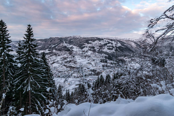 istock Winter landscape in Norway trees mountains 972838890