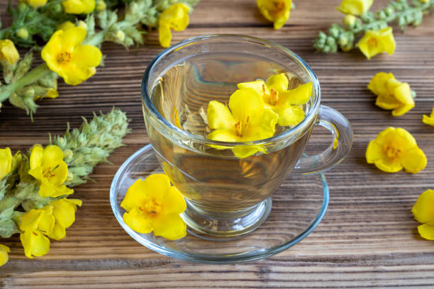 istock A cup of mullein tea 972842024