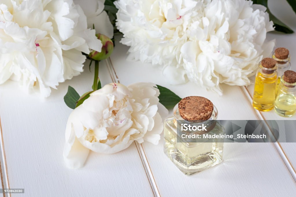 A Bottle Of Peony Essential Oil With White Peony Flowers Stock