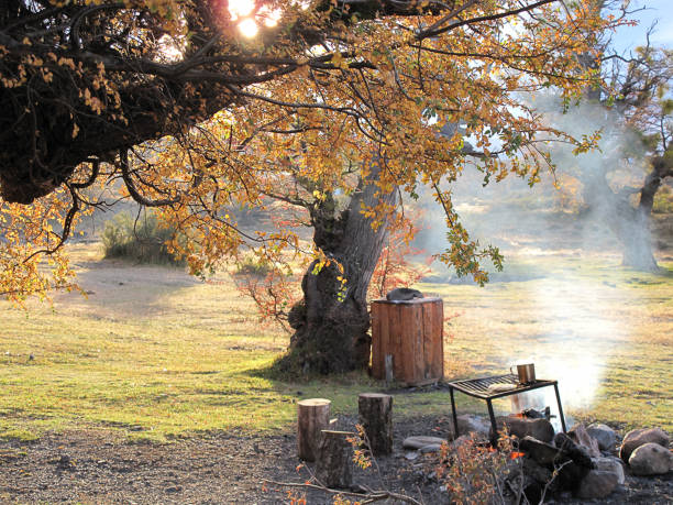 istock Fire and cooking spot in a camping site during fall season 972845910