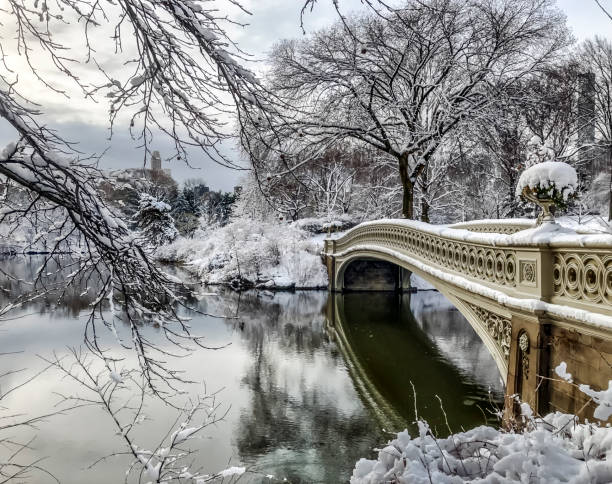 istock Central Park, New York City 972849216