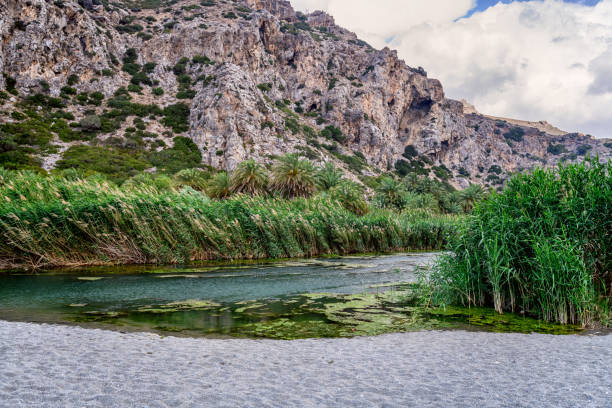 istock Preveli Beach with Palms park on Crete island, Greece. 972852380