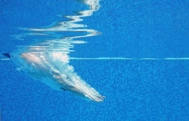 Underwater shot of man diving into pool