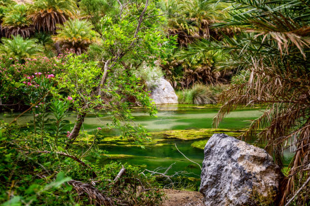 istock Preveli Beach with Palms park on Crete island, Greece. 972856030