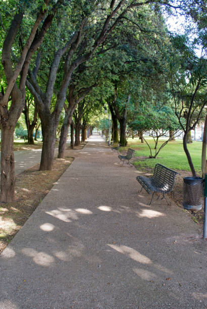 istock Park inside the city in spring 972858736