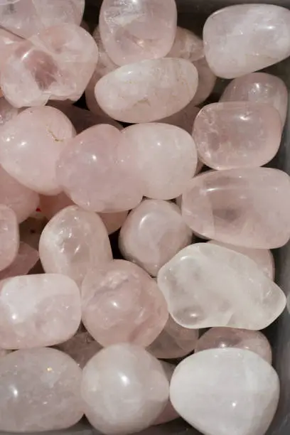 tumbled Rose Quartz gem stone as mineral rock specimen