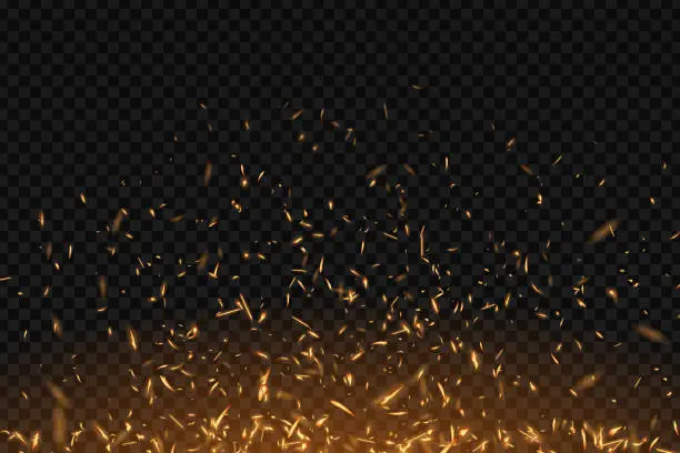 Vector illustration of Vector realistic isolated fire effect for decoration and covering on the transparent background. Concept of sparkles, flame and light.