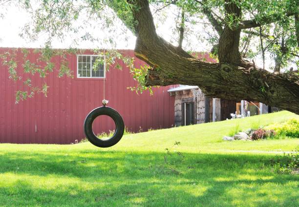 Tire Swing Tire swing in front of red barn. tire swing stock pictures, royalty-free photos & images