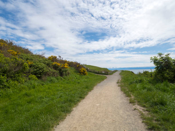 A path diverges in a park on a sunny summer day