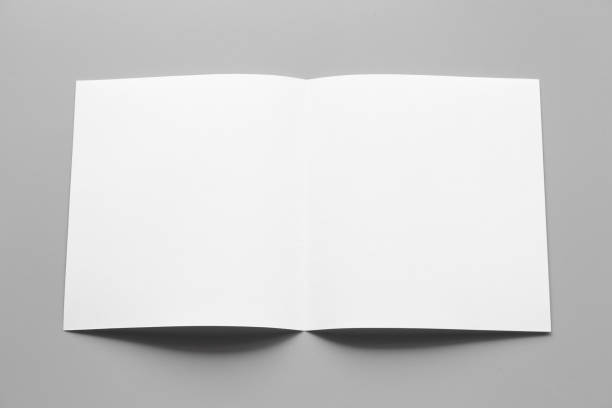 istock Blank portrait mock-up paper. brochure magazine isolated on gray, changeable background / white paper isolated on gray 972869310