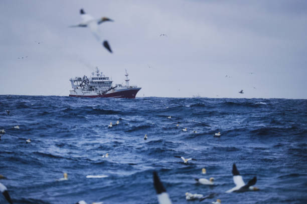 istock Fishing boat sailing out at rough sea 972877342