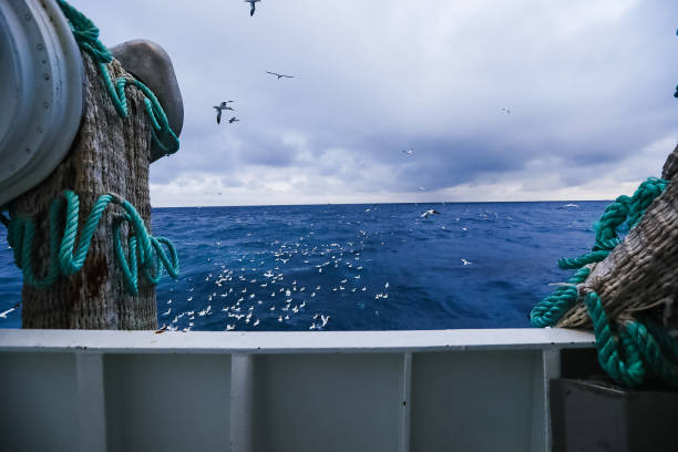 istock Trawl industrial fishing net 972877420