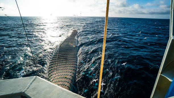 istock Trawl industrial fishing net 972879678