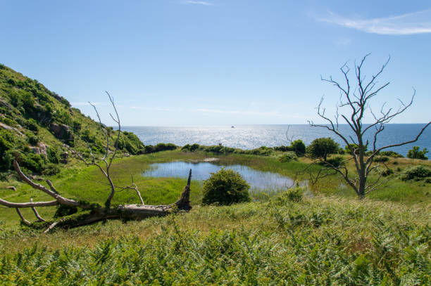 istock Panoramic Bornholm landscape, Denmark 972888598