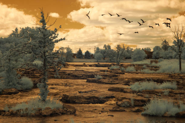 istock Infrared Landscape 972891770