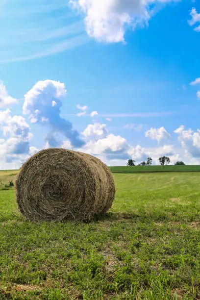 Hay bale in a field with a cloudy sky