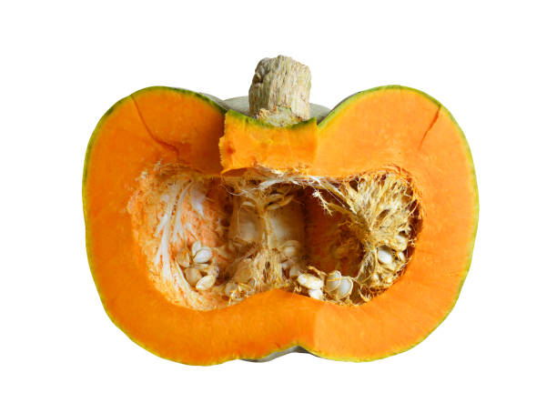 Part of pumpkin
