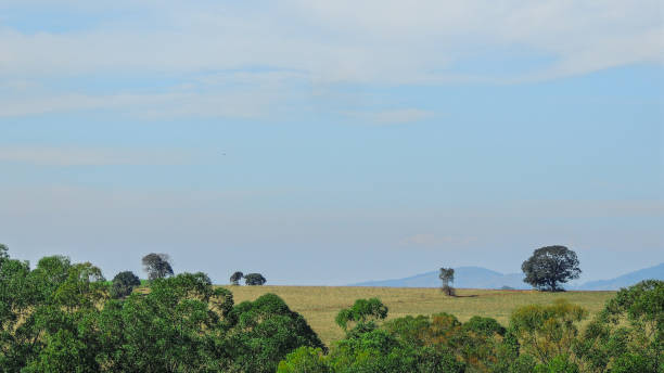 istock Landscape of Monte Belo hills 972916160