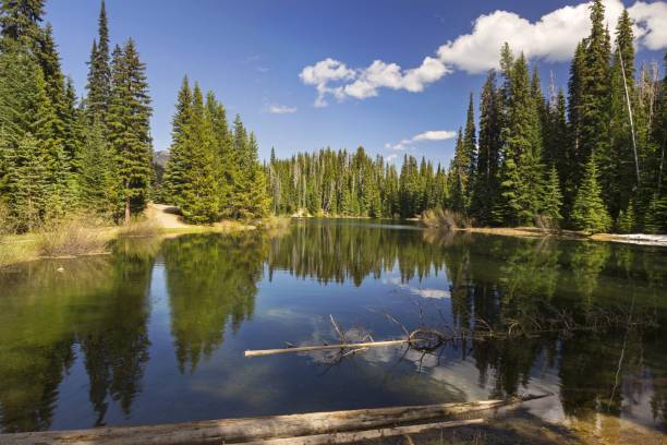 istock Lightning Lake Manning Park British Columbia Canada 972921700