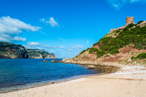 istock View of sardinian coast and beach 972936984