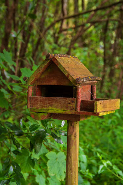istock Wood bird house 972953978