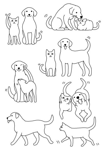 illustrazioni stock, clip art, cartoni animati e icone di tendenza di set di coppie di cani e gatti - kitten white background domestic animals domestic cat