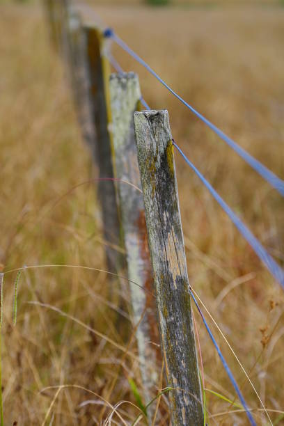 istock Wire fence in a field 972978472