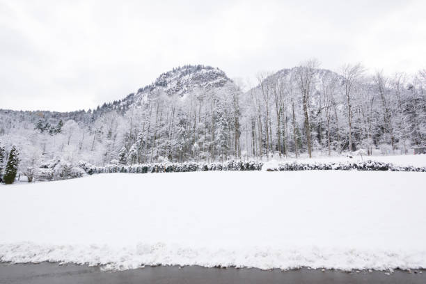 istock mountain landscape cover Snow 972990904