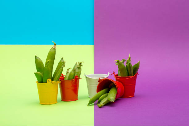 istock Still life with buckets and green peas on a colored background 972991106