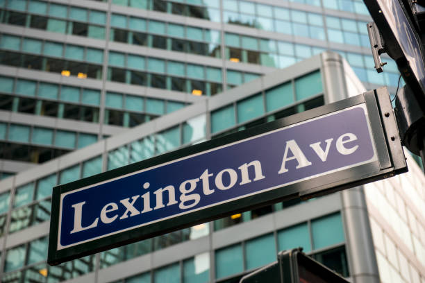istock Lexington Avenue road sign 973017270