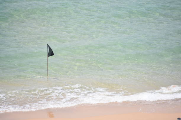 istock A black flag at sea 973019508