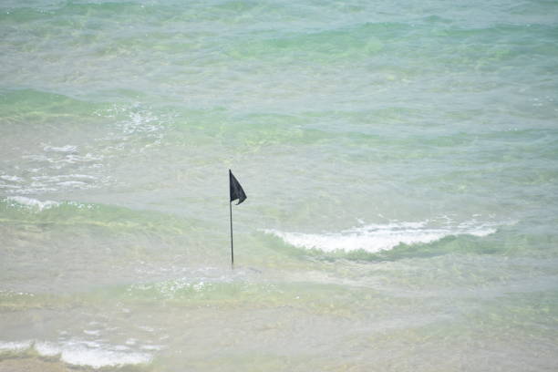 istock A black flag at sea 973019512