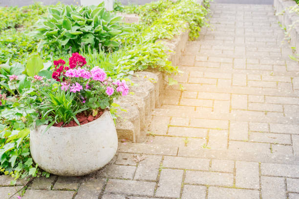 istock Soft focus mix fresh flowers multicolors blooming in white gray cement 973025262