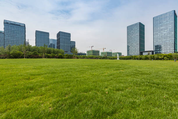 istock modern business office building exterior 973036228