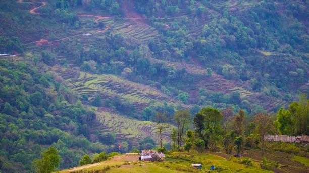 green valley with rice terraces, annapurna circuit, nepal - nepal landscape hiking rice imagens e fotografias de stock