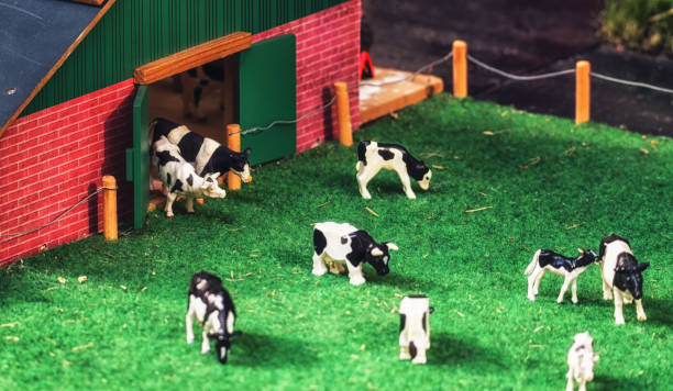 istock Miniature Cows, Toys extreme close ups 973042498