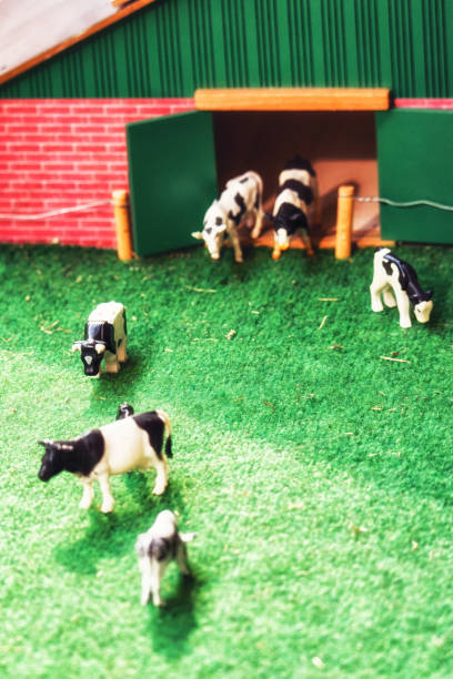 istock Miniature Cows, Toys extreme close ups 973042500