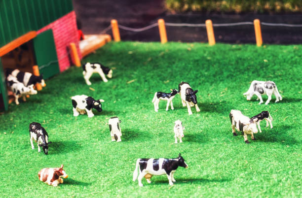 istock Miniature Cows, Toys extreme close ups 973042510