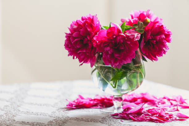 istock red peonies in glass vase stand on table 973051248
