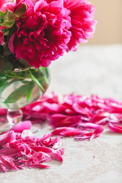 red peonies in glass vase stand on table