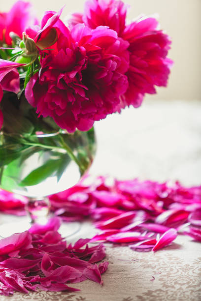 istock red peonies in glass vase stand on table 973053372