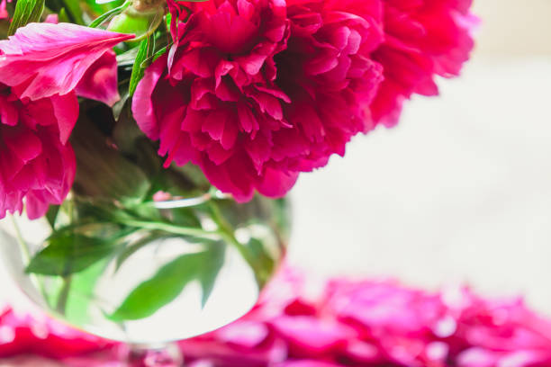 istock red peonies in glass vase stand on table 973053414
