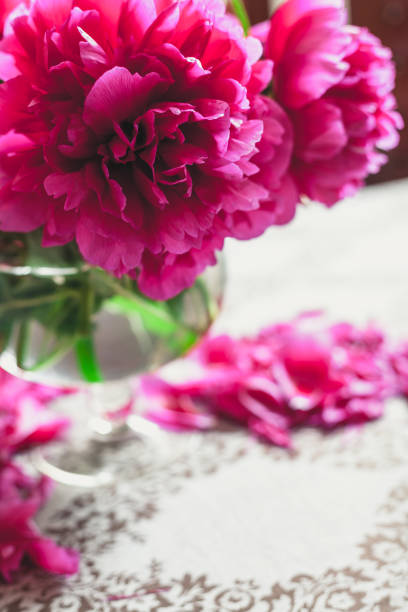 red peonies in glass vase stand on table
