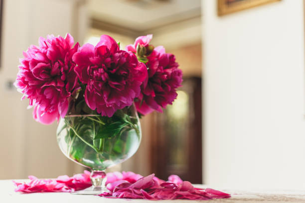 istock red peonies in glass vase stand on table 973053600