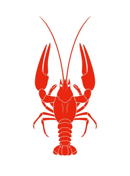 Vector illustration of Crayfish. Isolated crayfish on white background