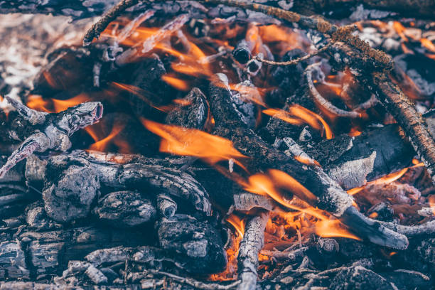 istock Place after a fire, smoldering coals 973060646