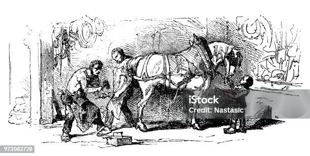 Blacksmith Shoeing A Mule Stock Illustration - Download Image Now - Farrier, Blacksmith, Horse