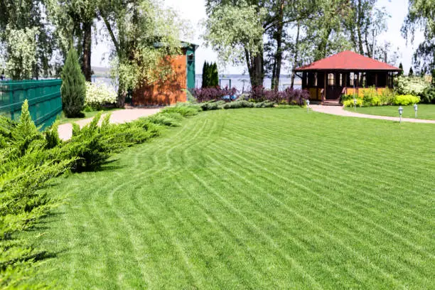 Freshly mowed rows of green lawn at country residence with summerhouse. Hedge of fresh cedars. Landscape design and gardening concept.