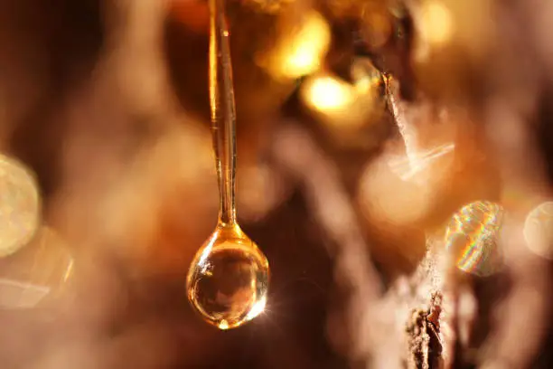 Photo of falling drop of resin